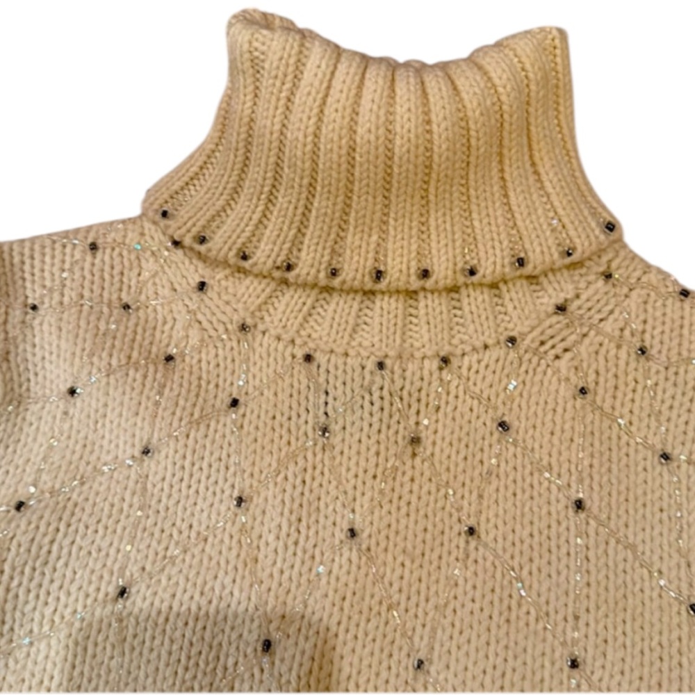 THE LIMITED CHUNKY KNIT TURTLENECK SWEATER ⭐️⭐️⭐️⭐️⭐️